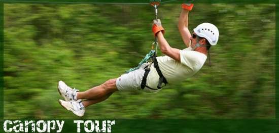 Vista Arenal Canopy Tour Vista Arenal Canopy Tour