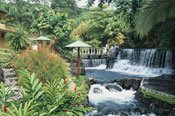Arenal Volcano with Tabacon Hot Springs Arenal Volcano with Tabacon Hot Springs