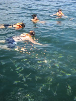 Calypso's cruice to Tortuga Island Calypso's cruice to Tortuga Island